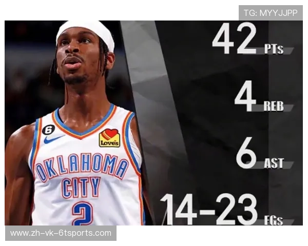 火箭队赛事数据库资源介绍及查询方法