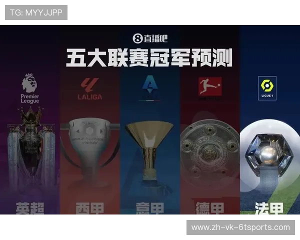 法甲外援合同期望与俱乐部引援策略研究